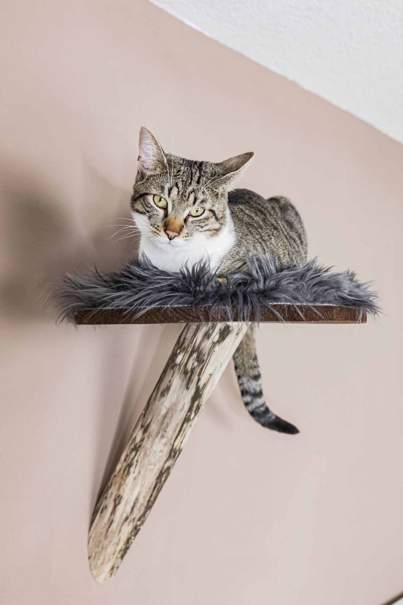 TOMCAT Comfort Pad