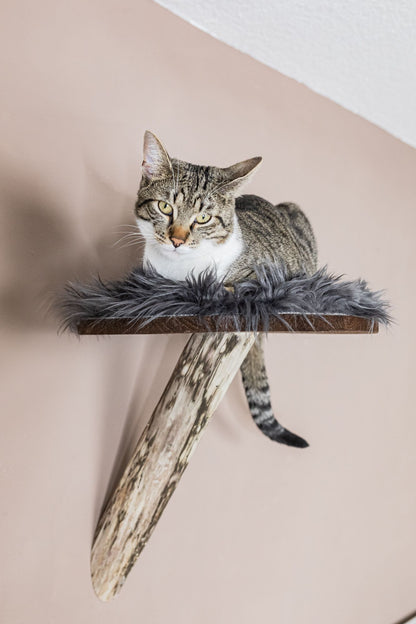 TOMCAT Comfort Pad