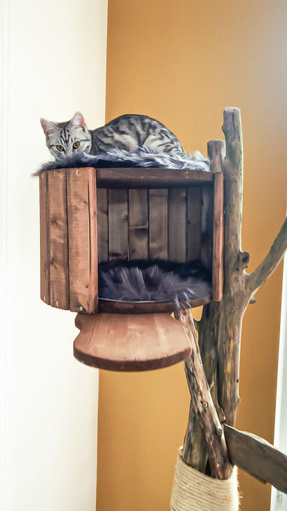 TOMCAT Comfort Pad