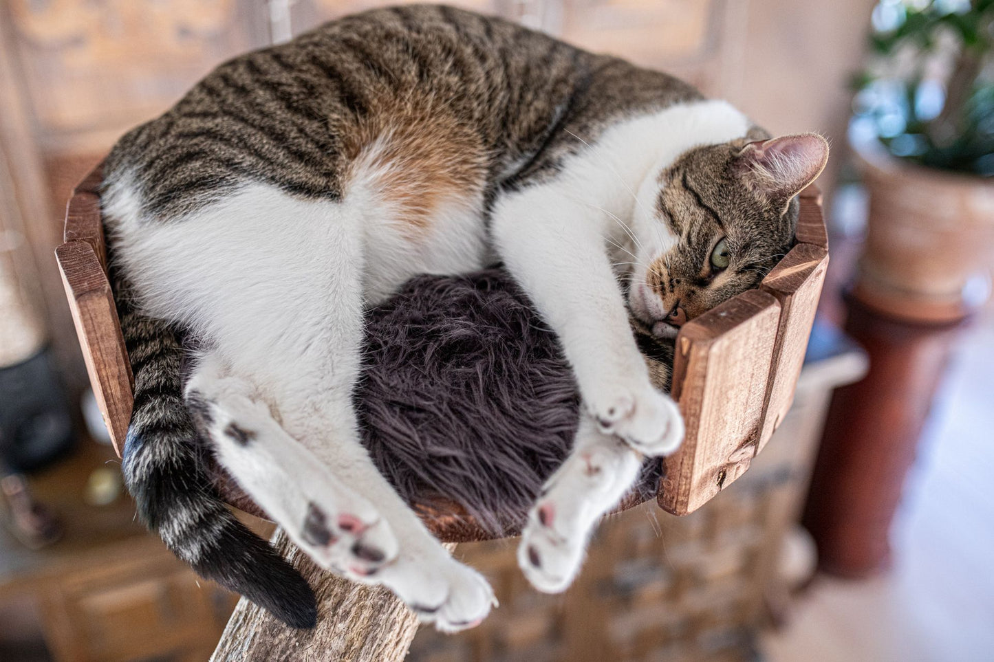 TOMCAT Comfort Pad
