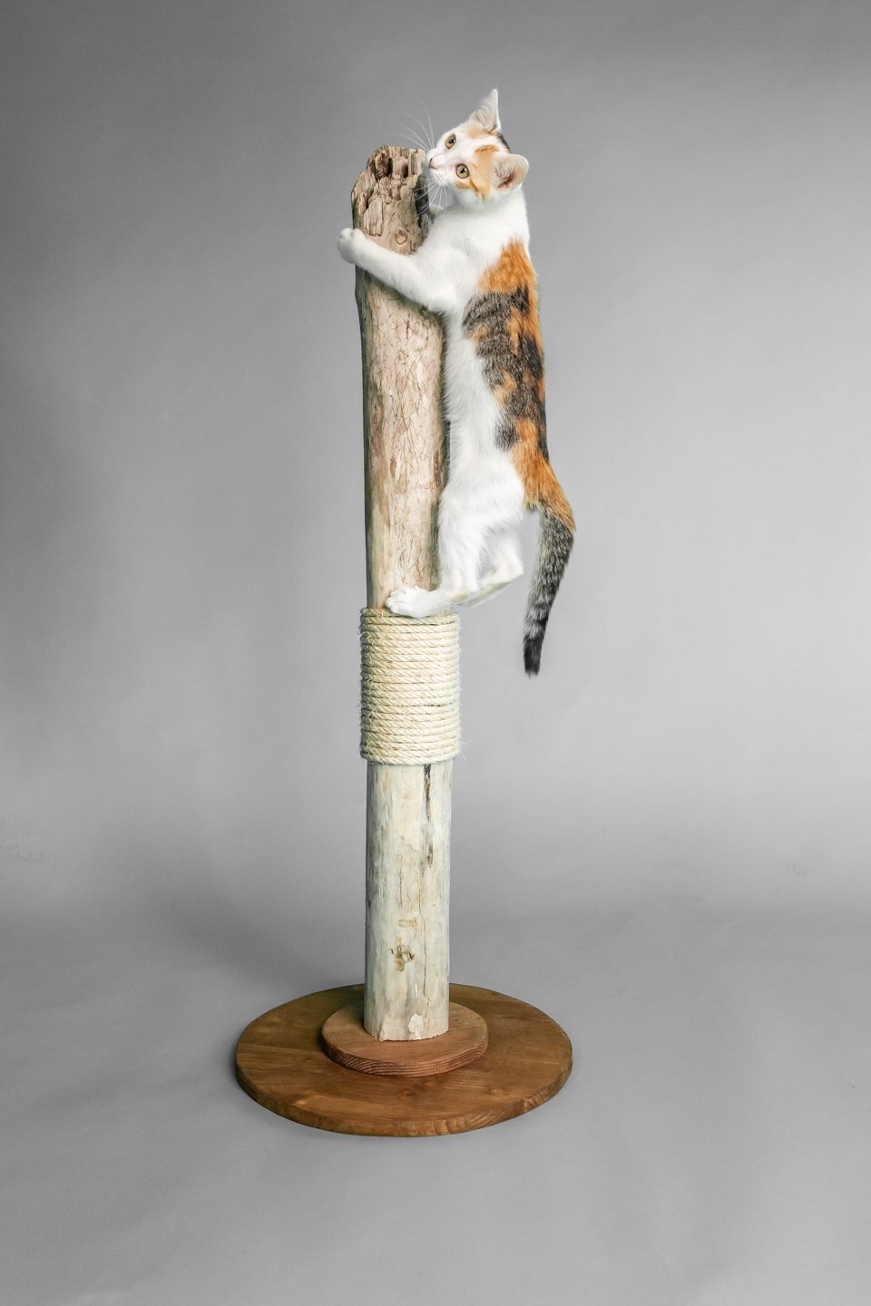 TOMCAT Scratch Tower