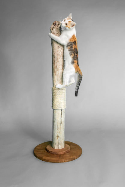 TOMCAT Scratch Tower