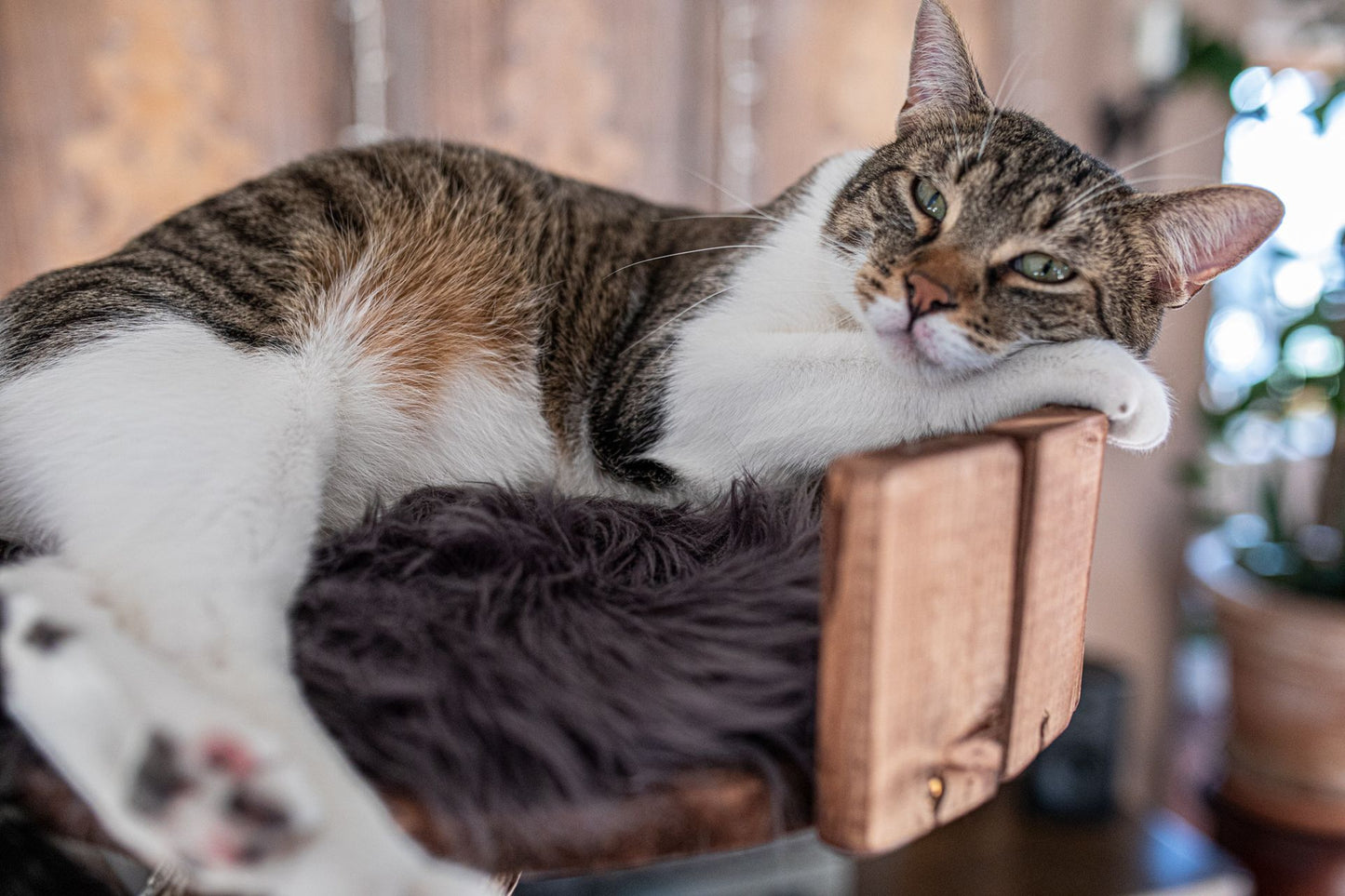 TOMCAT Comfort Pad