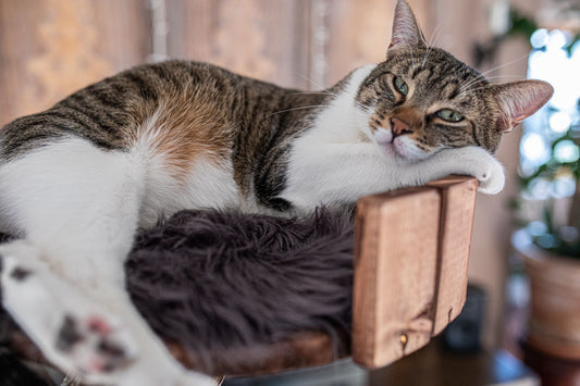 TOMCAT Comfort Pad