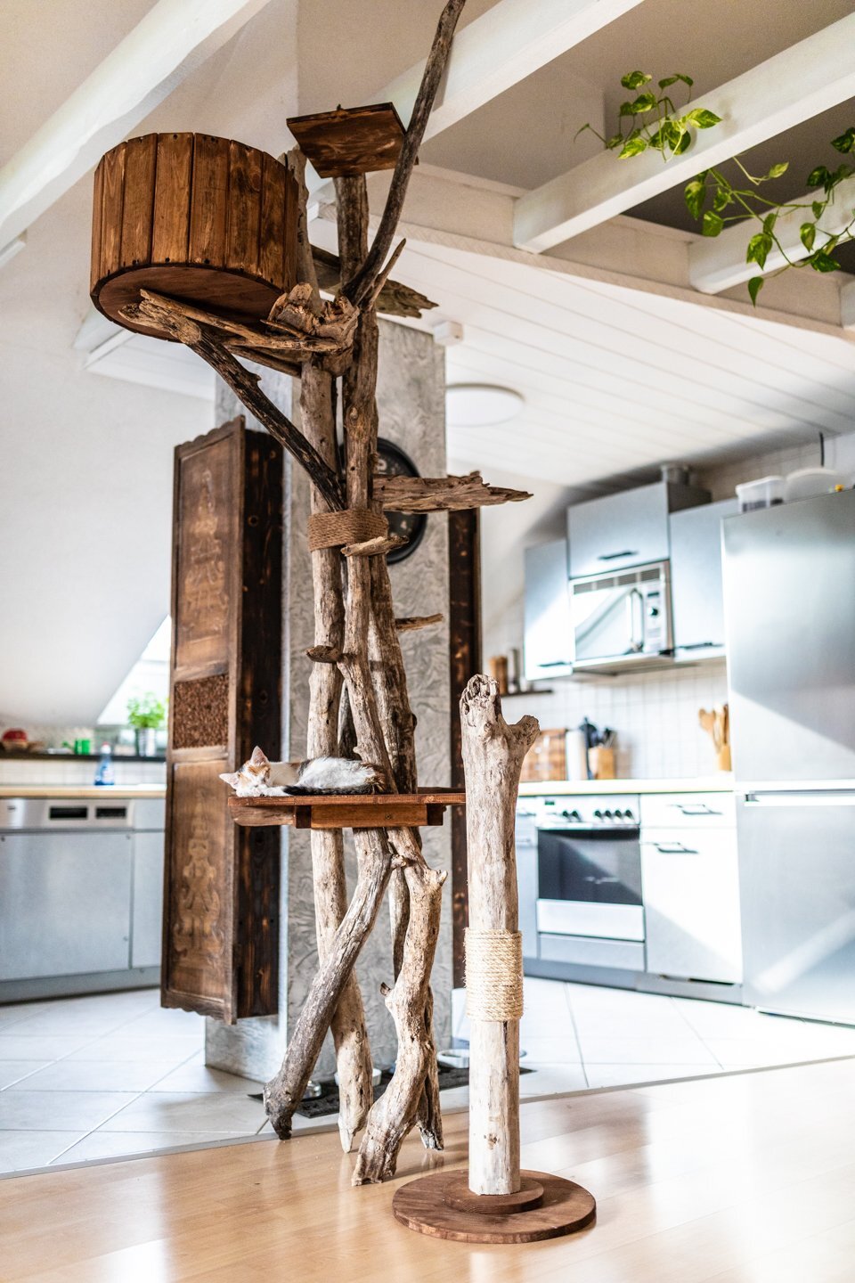 Katze ruht auf Plattform des TOMCAT High Tower Katzenmöbel Kletterbaum