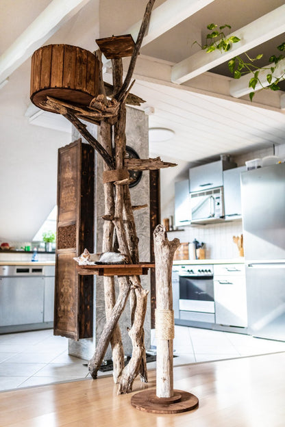 Katze ruht auf Plattform des TOMCAT High Tower Katzenmöbel Kletterbaum