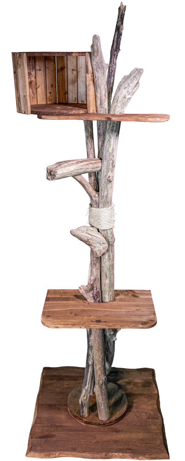 Moderner Kratzbaum Kletterbaum aus Naturholz – TOMCAT High Tower Katzenmöbel