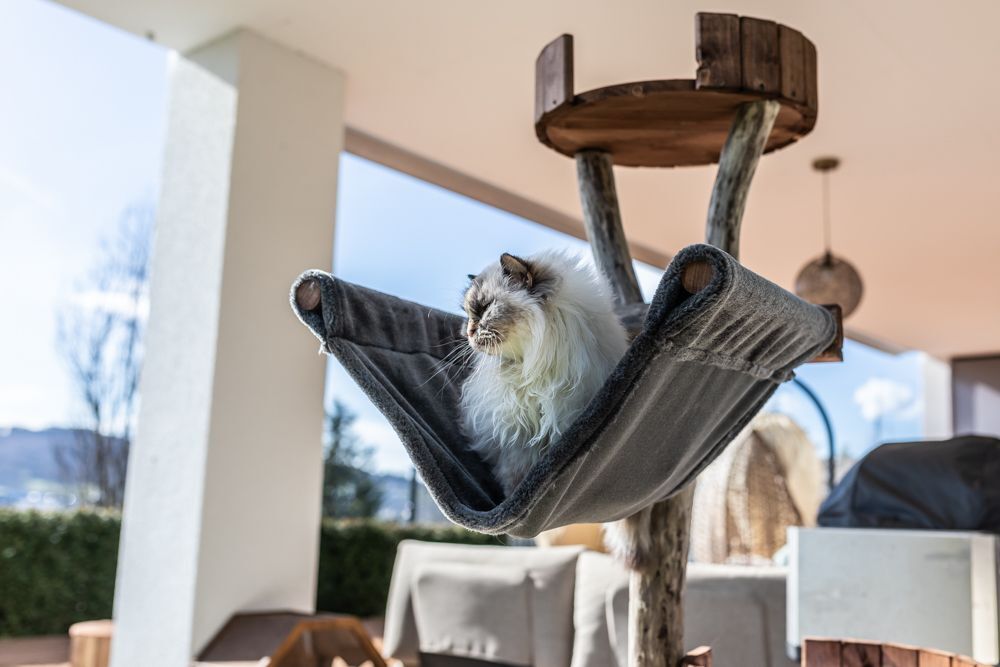 Designer Kratzbaum Kletterbaum aus Holz – TOMCAT Lounge Tower - Katzenmöbel