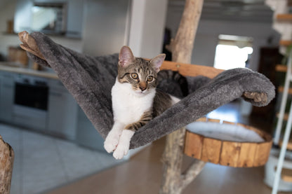 Katze ruht auf TOMCAT Lounge Tower - Katzenmöbel Kletterbaum