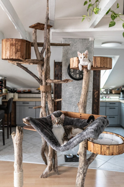 Moderner Kratzbaum Kletterbaum aus Naturholz – TOMCAT Lounge Tower - Katzenmöbel