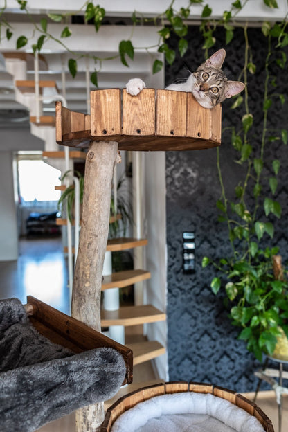 TOMCAT Lounge Tower Kratzbaum Kletterbaum im Wohnzimmer - Katzenmöbel